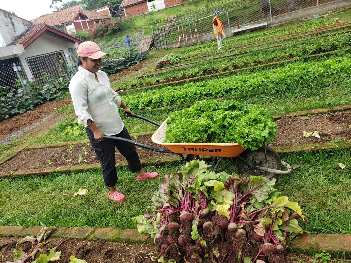 El huerto recibe la mejor atención de parte de estos jóvenes que dedican parte de su tiempo a cultivar, en la imagen vemos a María una de las personas que residen en el Hogar Los Ángeles.