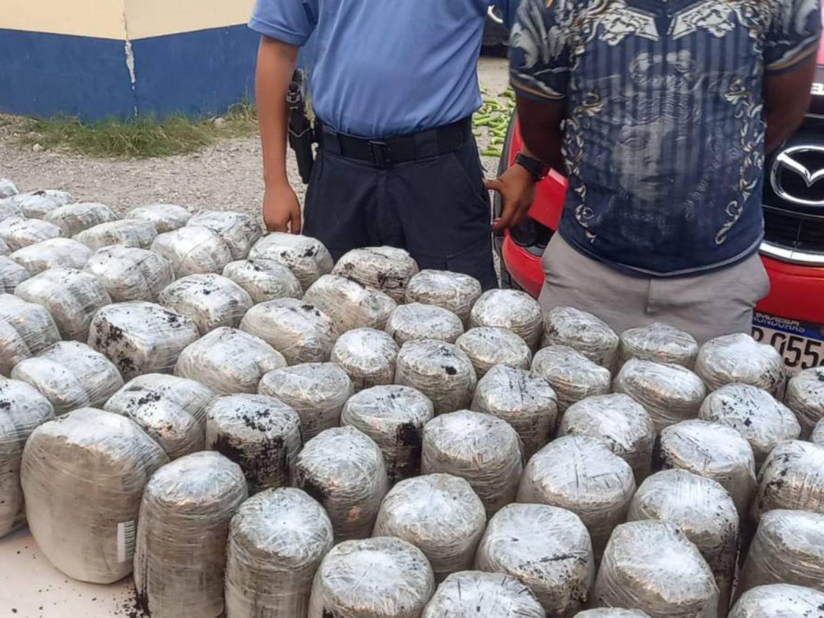 Medio millón de lempiras ofrecieron a policías para evitar decomiso de marihuana en La Ceiba