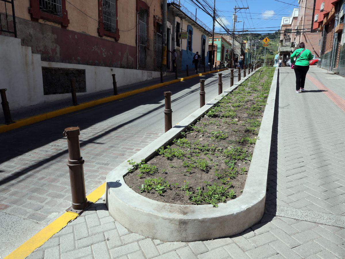 La transformación de la avenida Cervantes en el centro de Tegucigalpa