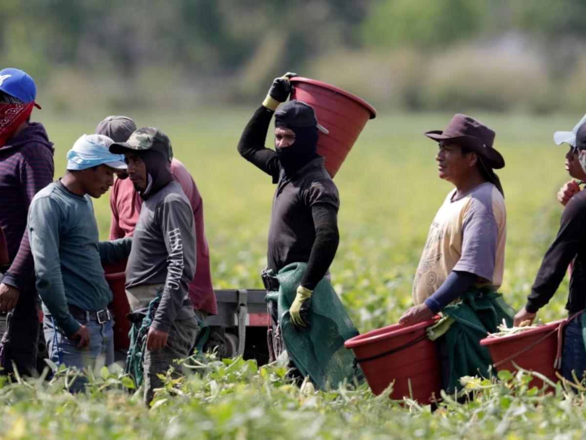 Cambios en permisos de trabajo para migrantes en EUA en 2025: todo lo que debes saber