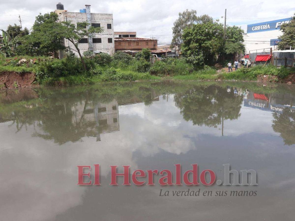 Seis colonias bajo amenaza sanitaria por laguna de aguas negras en el DC