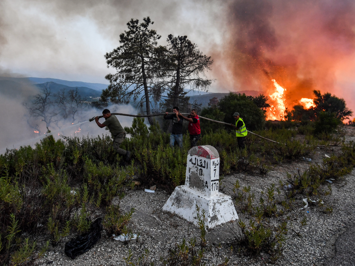 Argelia logra apagar la mayoría de los incendios, pero aún hay 13 focos activos