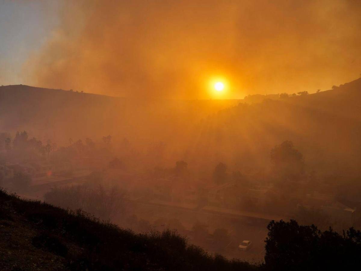 Pacific Palisades, el barrio de los famosos que incendios redujeron a ceniza