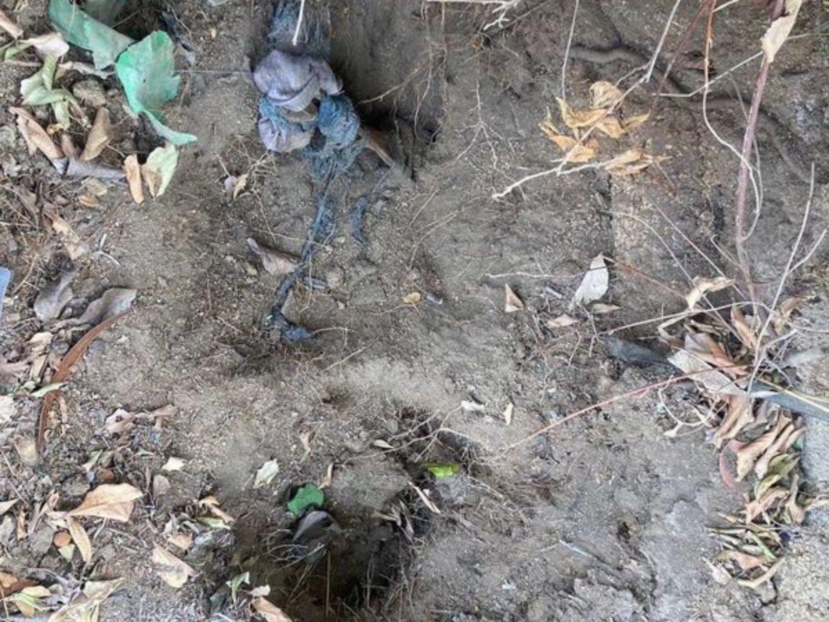 Parte de la osamenta encontrada en la fosa clandestina este lunes. Los trabajos de identificación de cuerpos continuarán.