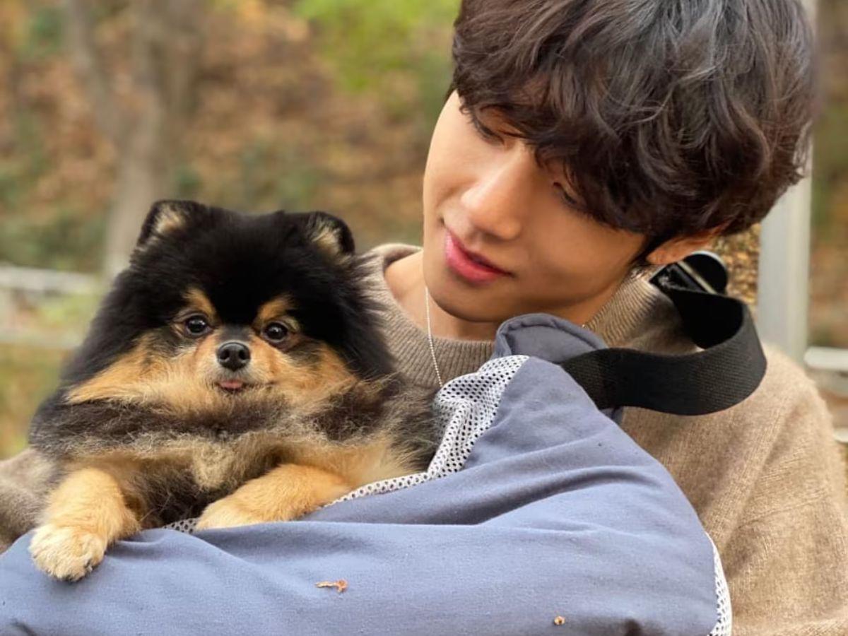 V de BTS se despide de su amigo fiel, Yeontan: “Se embarcó en un viaje hacia las estrellas”