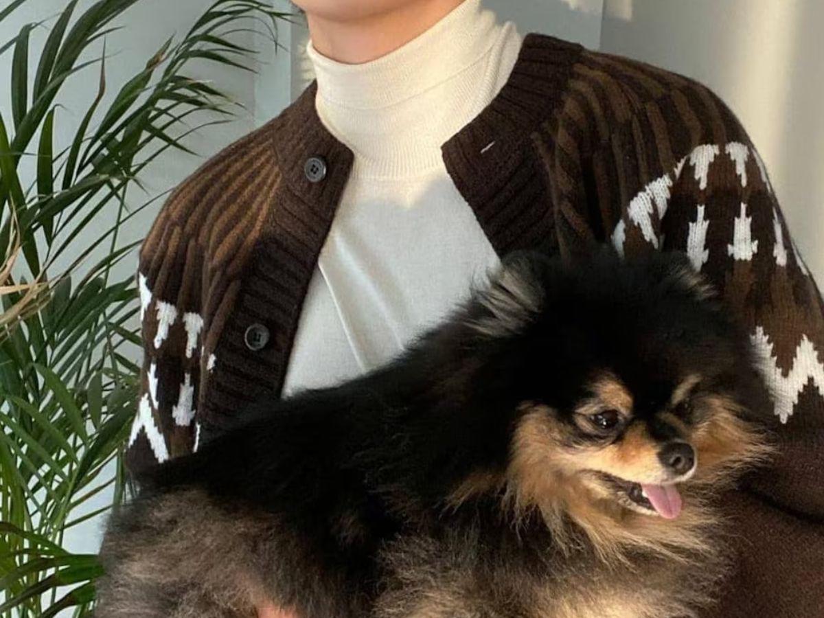 V de BTS se despide de su amigo fiel, Yeontan: “Se embarcó en un viaje hacia las estrellas”