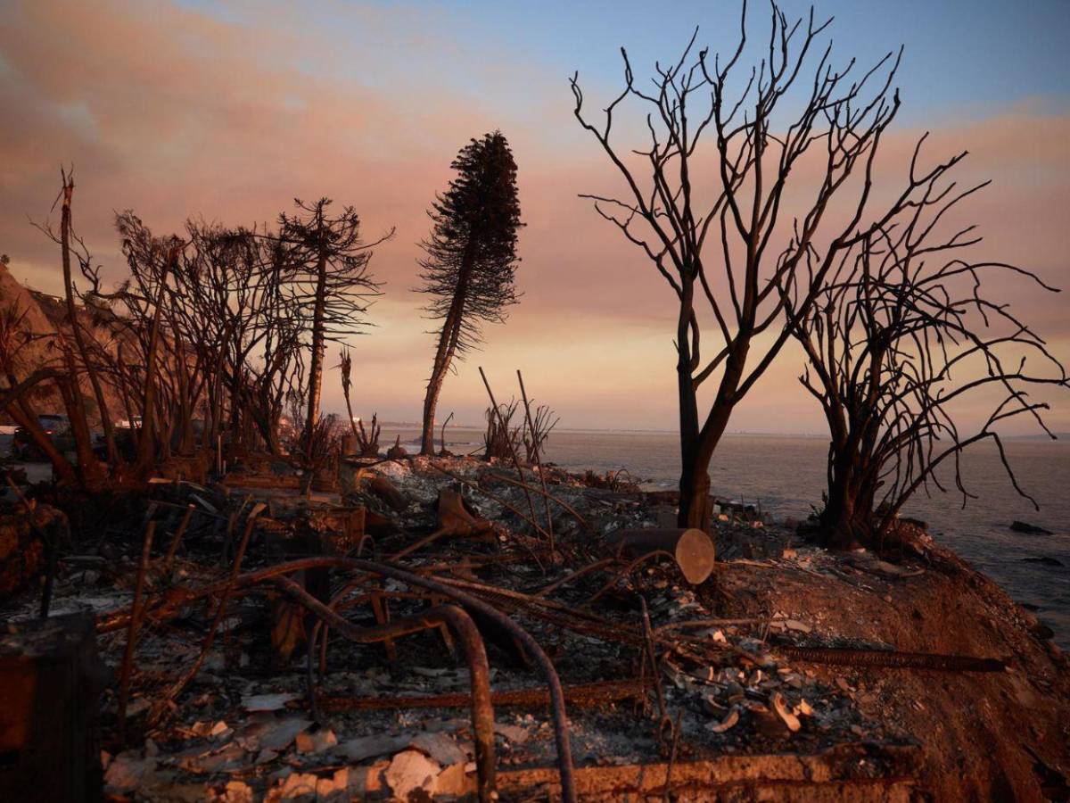 Pacific Palisades, el barrio de los famosos que incendios redujeron a ceniza