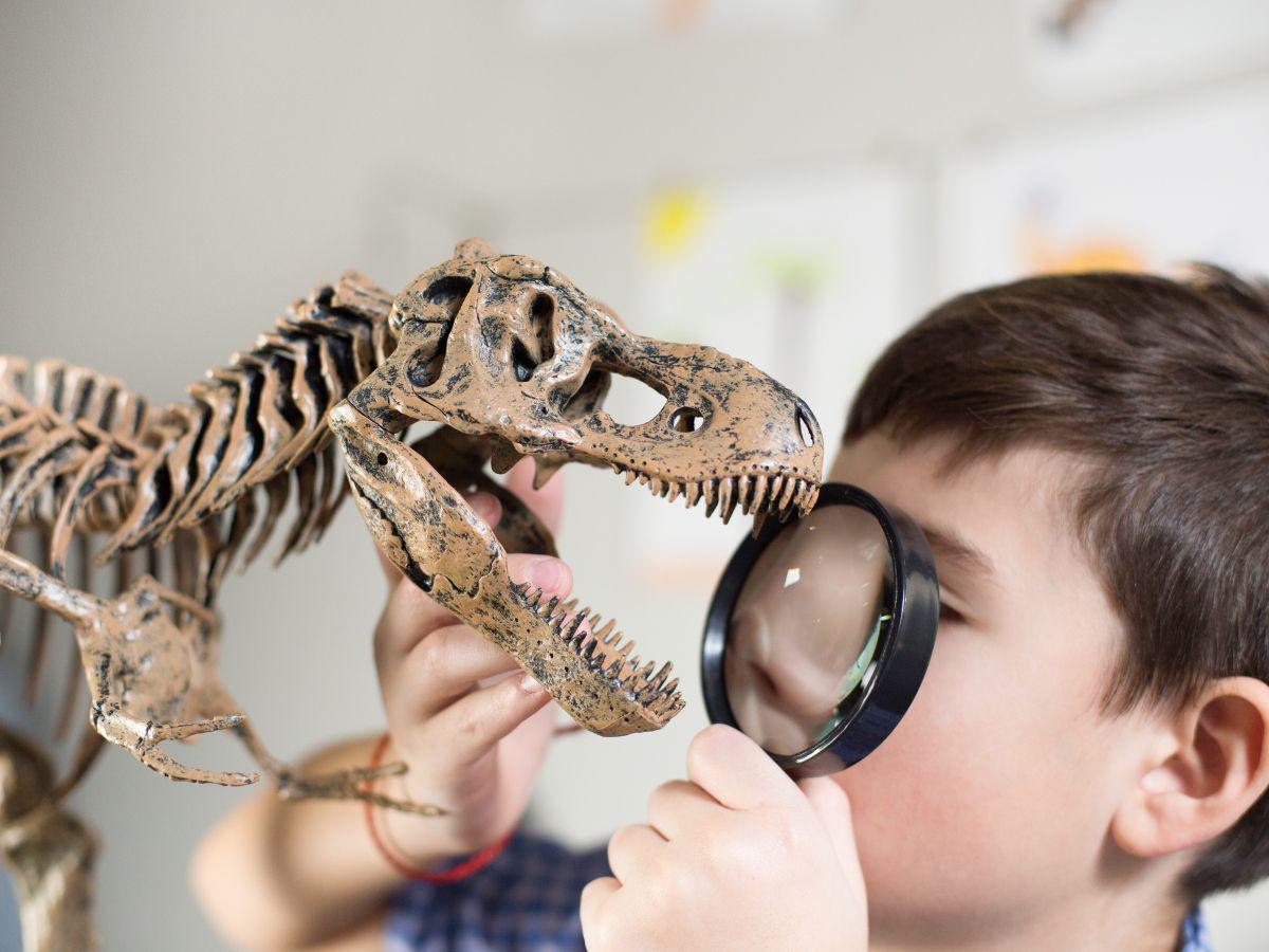 ¿Por qué a los niños les fascinan los dinosaurios?