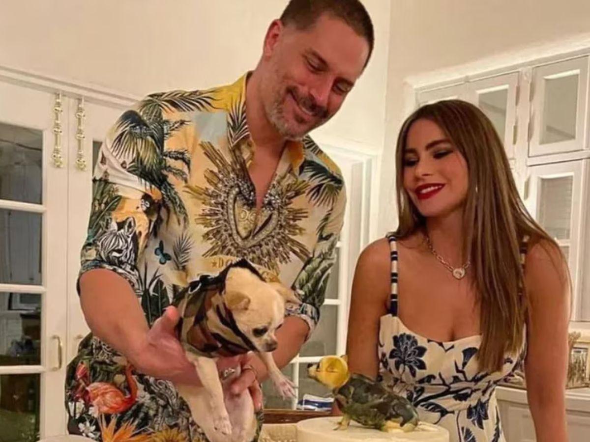 ¿Con quién se queda el perro? La mascota que complica el divorcio de Sofía Vergara y Joe Manganiello