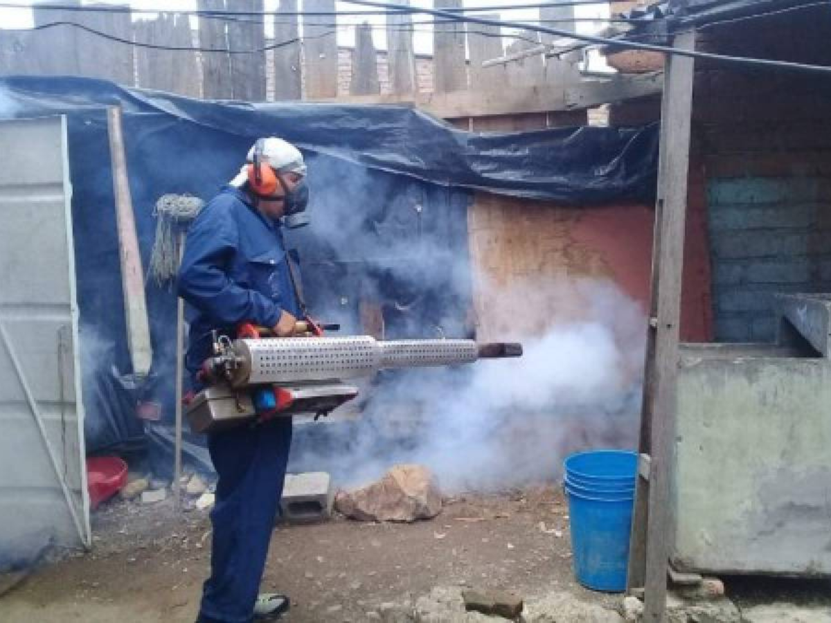 Cuatro colonias encabezan los casos de dengue en el Distrito Central