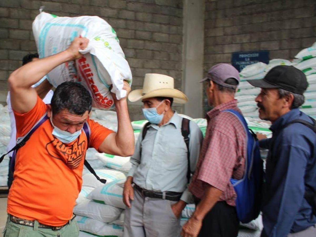 Más de 100 mil productores se beneficiarán con el bono cafetalero