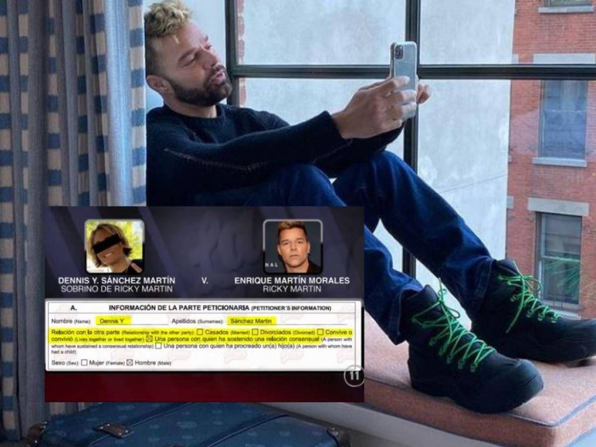 ¿Qué dice el documento de la denuncia por violencia doméstica contra Ricky Martin?