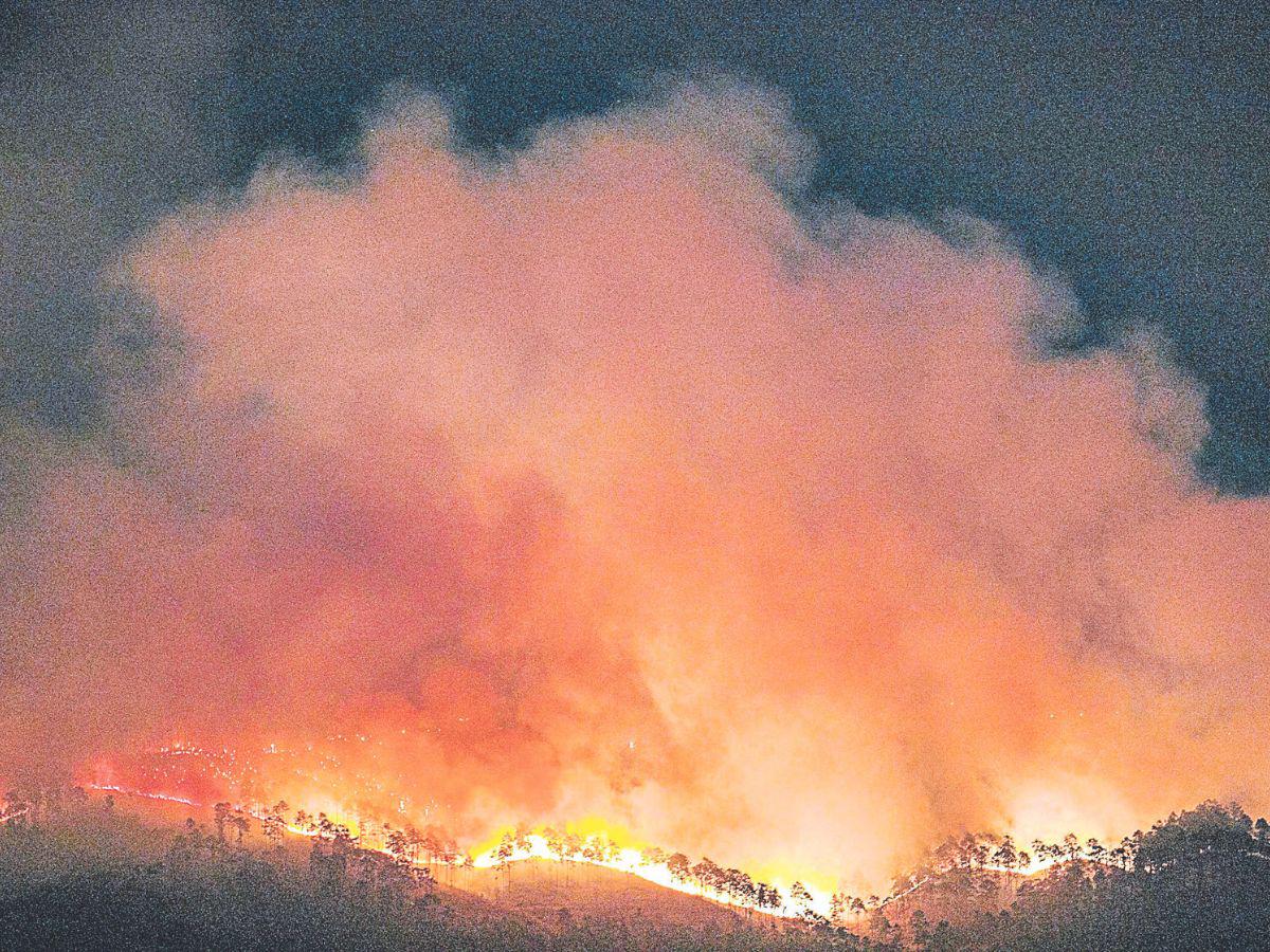 Francisco Morazán ha sido el departamento más afectado por los siniestros, Olancho es la segunda región con más incendios.