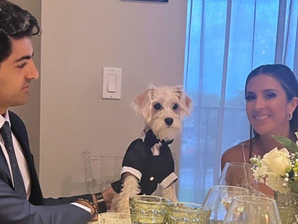 Indy, la mascota de Maity y Anuar estuvo presente en la cena con la que celebraron en enlace matrimonial.