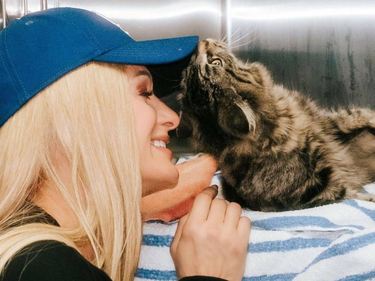 Paris Hilton se suma al rescate de animales tras incendios en Los Ángeles