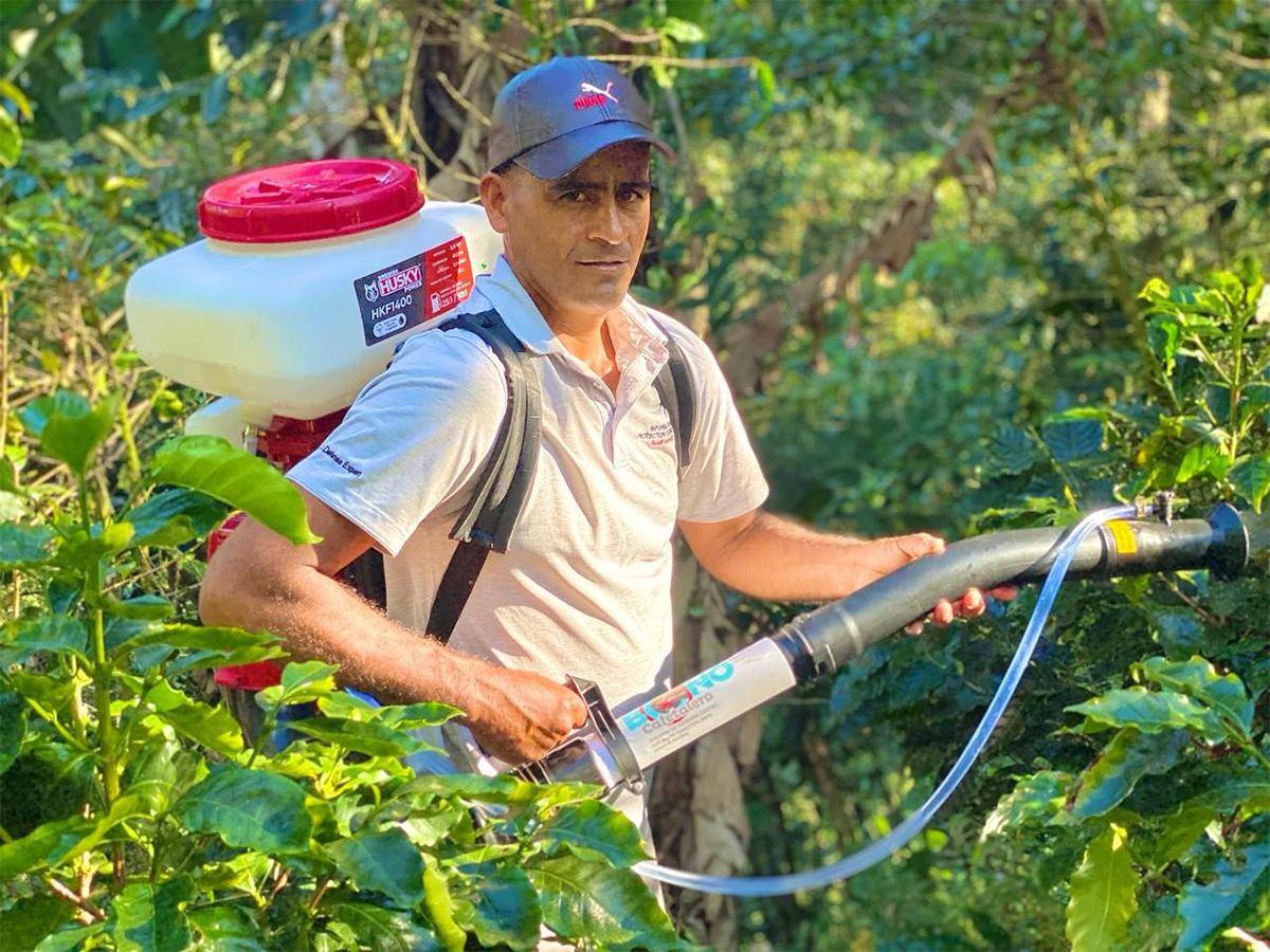 Más de 110 mil productores de café serán beneficiados con bono cafetalero