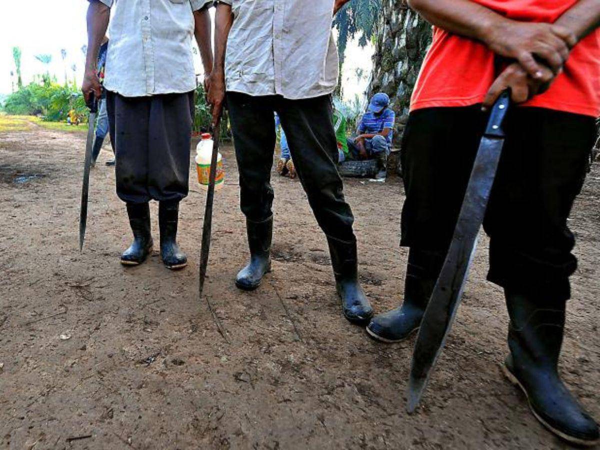 Hombres armados sacan a guardias de seguridad e invaden una finca de palma africana en Colón