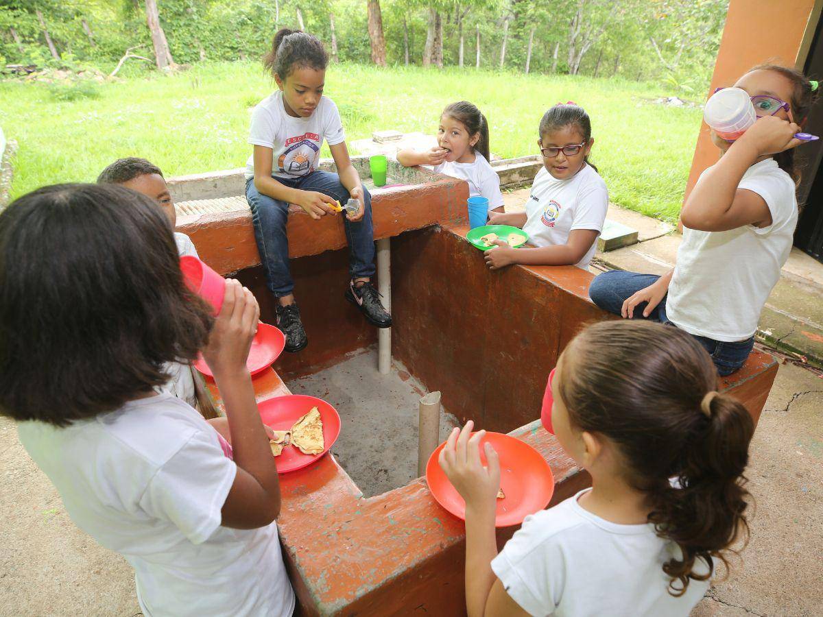 $!En una evaluación de la FAO se estableció que el 20% de los estudiantes indicó que “siempre” o “casi siempre” se saltan un tiempo de comida al día por falta de alimentos en casa.