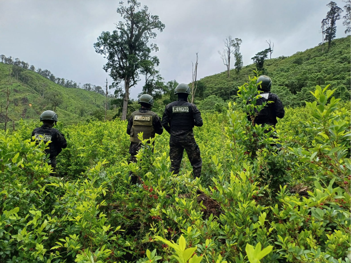 $!Los grupos criminales se están asociando para producir droga en escalas hasta llegar a México.