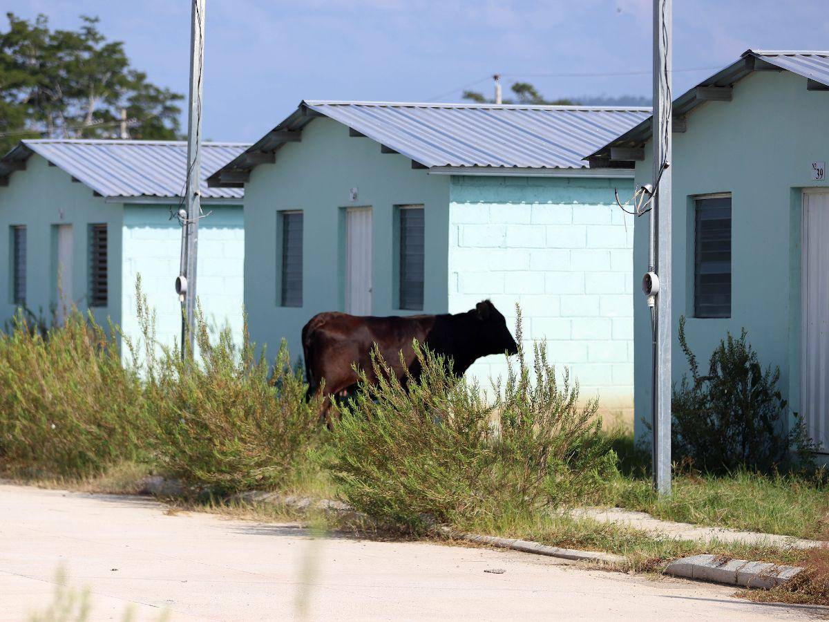 $!El proyecto de Los Prados, en Choloma, Cortés, es el que tiene más problemas, según el IP.