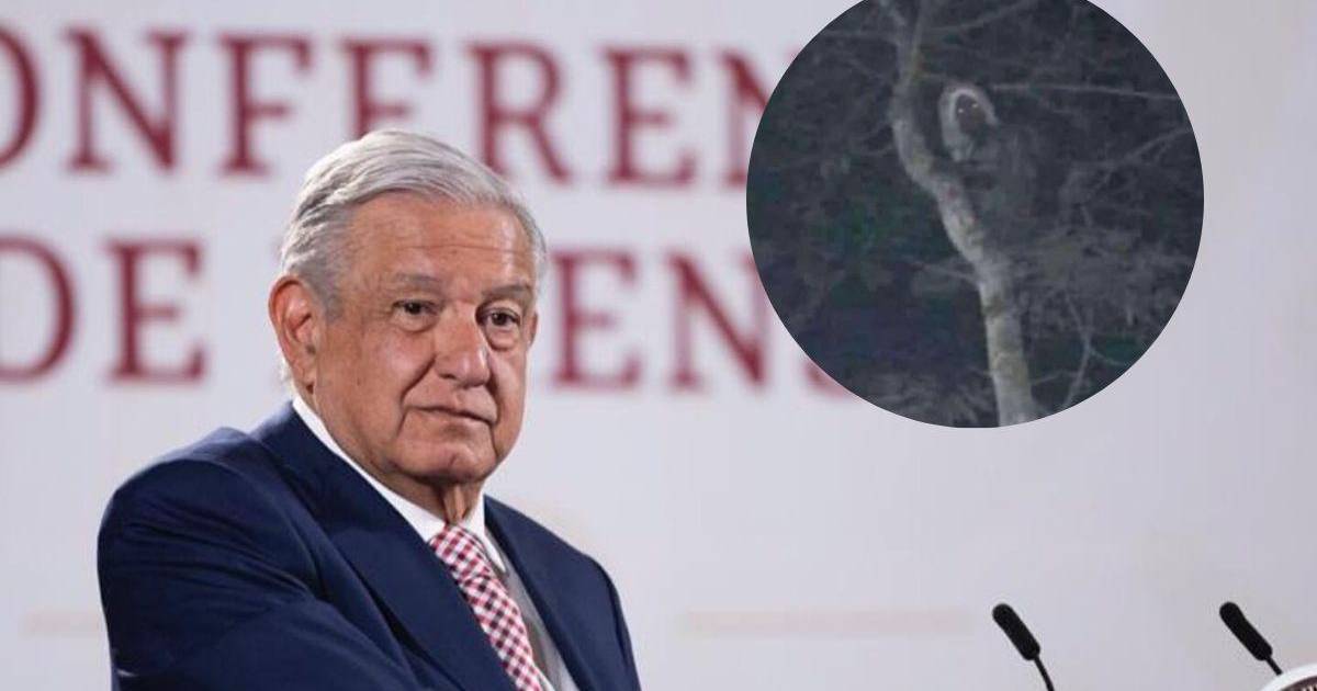 Presidente de México comparte imagen real de un duende