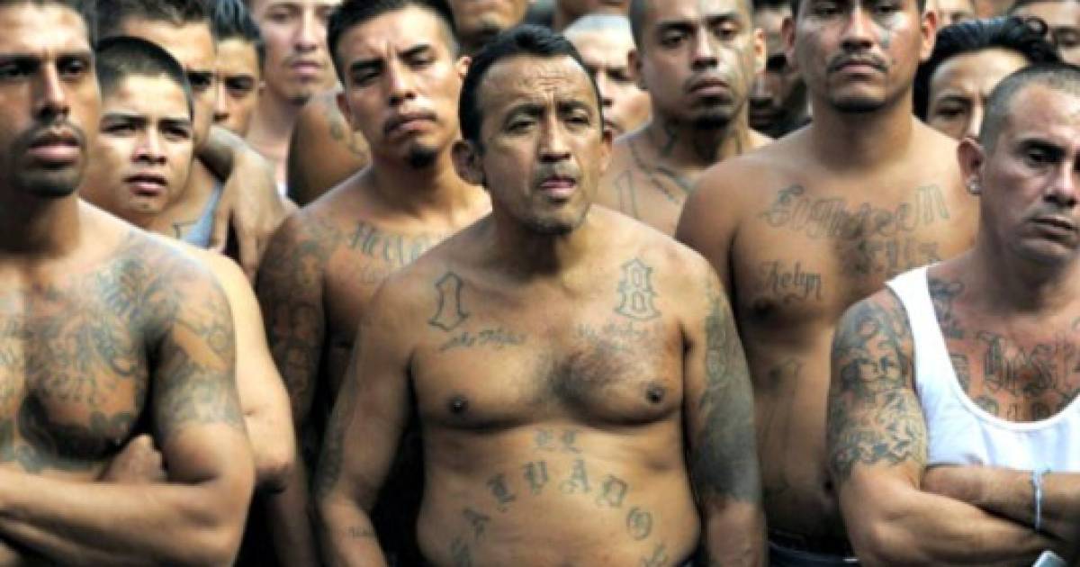 ms 13 asesinatos