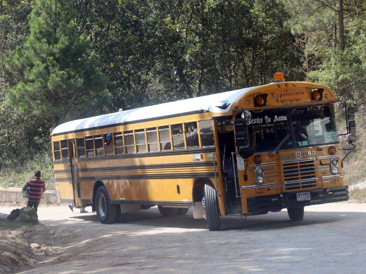 El transporte funciona con normalidad desde hace varios días.