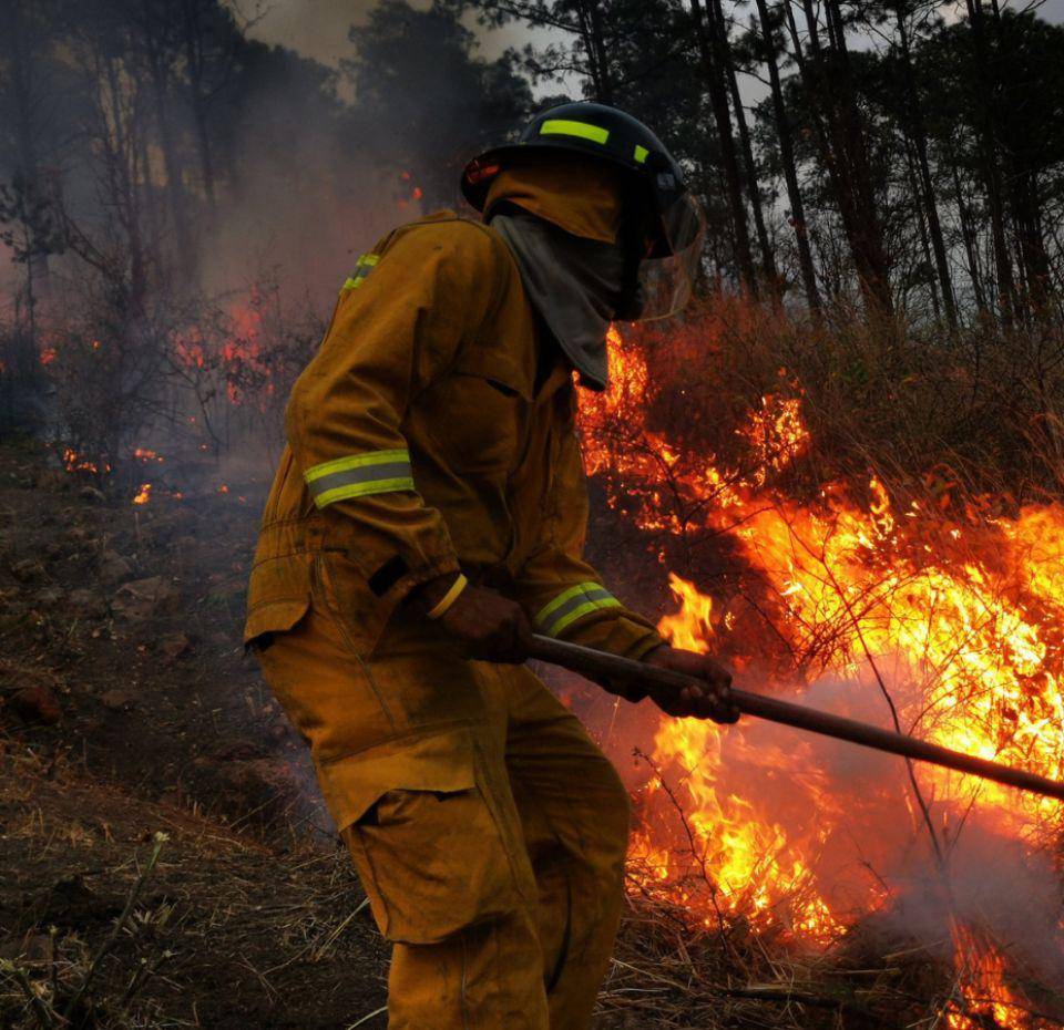 En 2024 se registraron más de 3,000 incendios forestales que afectaron a más de 290,000 hectáreas.