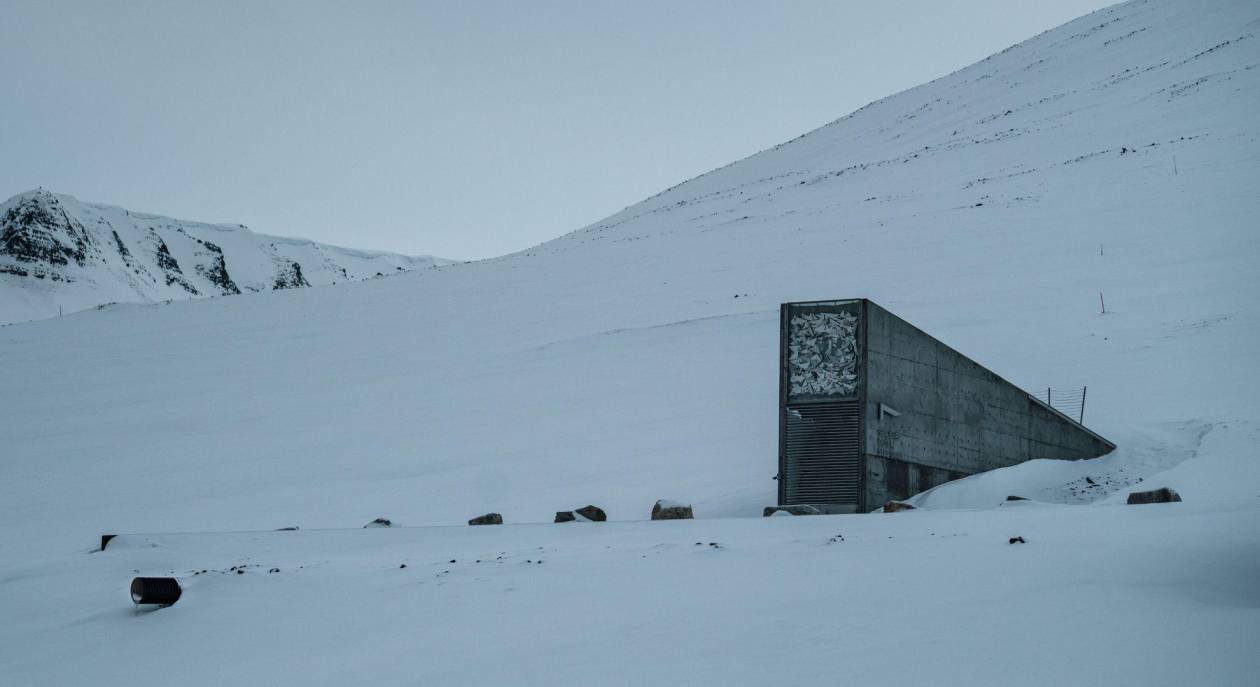 Cámara Global de Semillas de Svalbard recibió 30 mil nuevas muestras