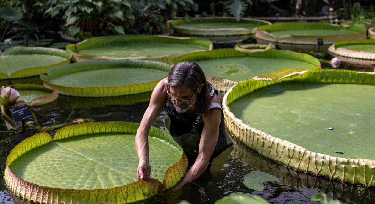 Carlos Magdalena, “El Mesías” de las plantas exóticas en peligro de extinción