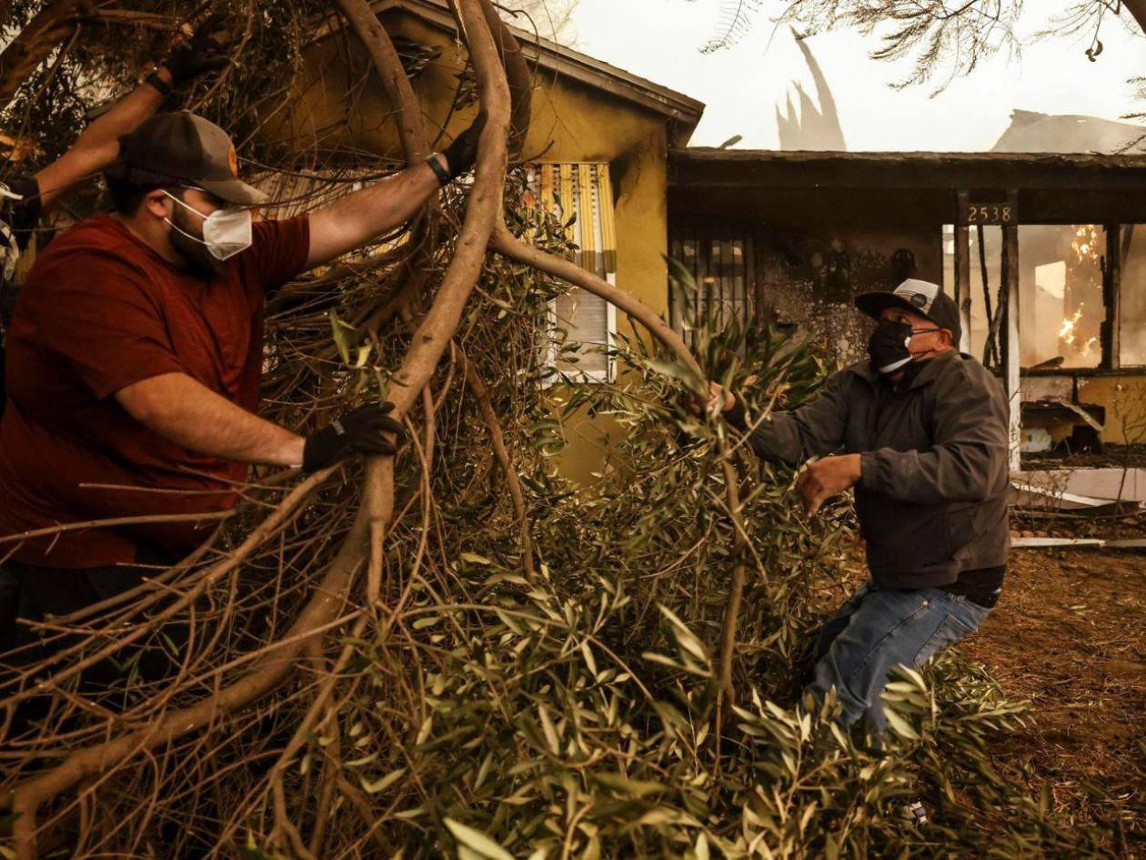 Jornaleros indocumentados se unen para remover árboles y escombros en Los Ángeles