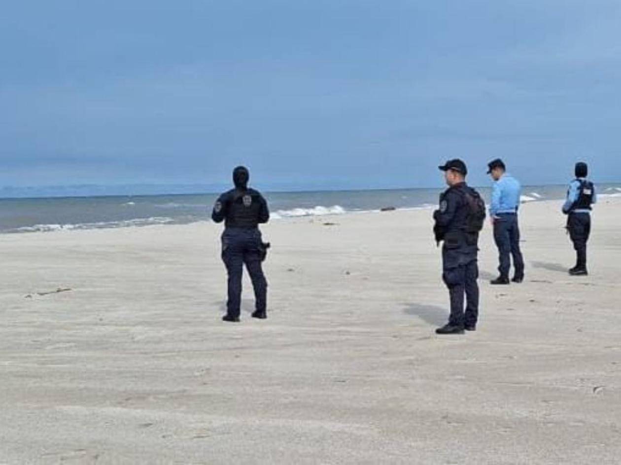 ¿Los tiburones comen personas? Esto dice una experta en fauna marina