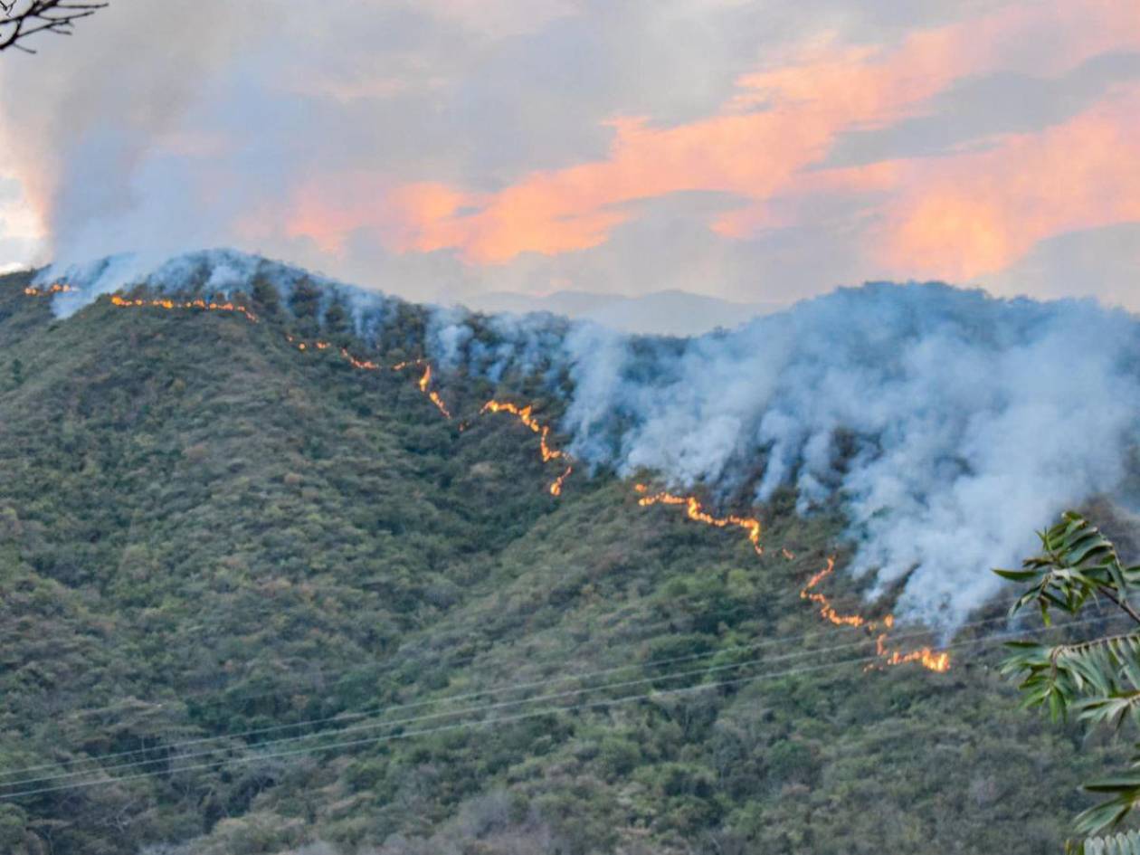 Las llamas arrasan más de 5,000 hectáreas de bosques en Colombia