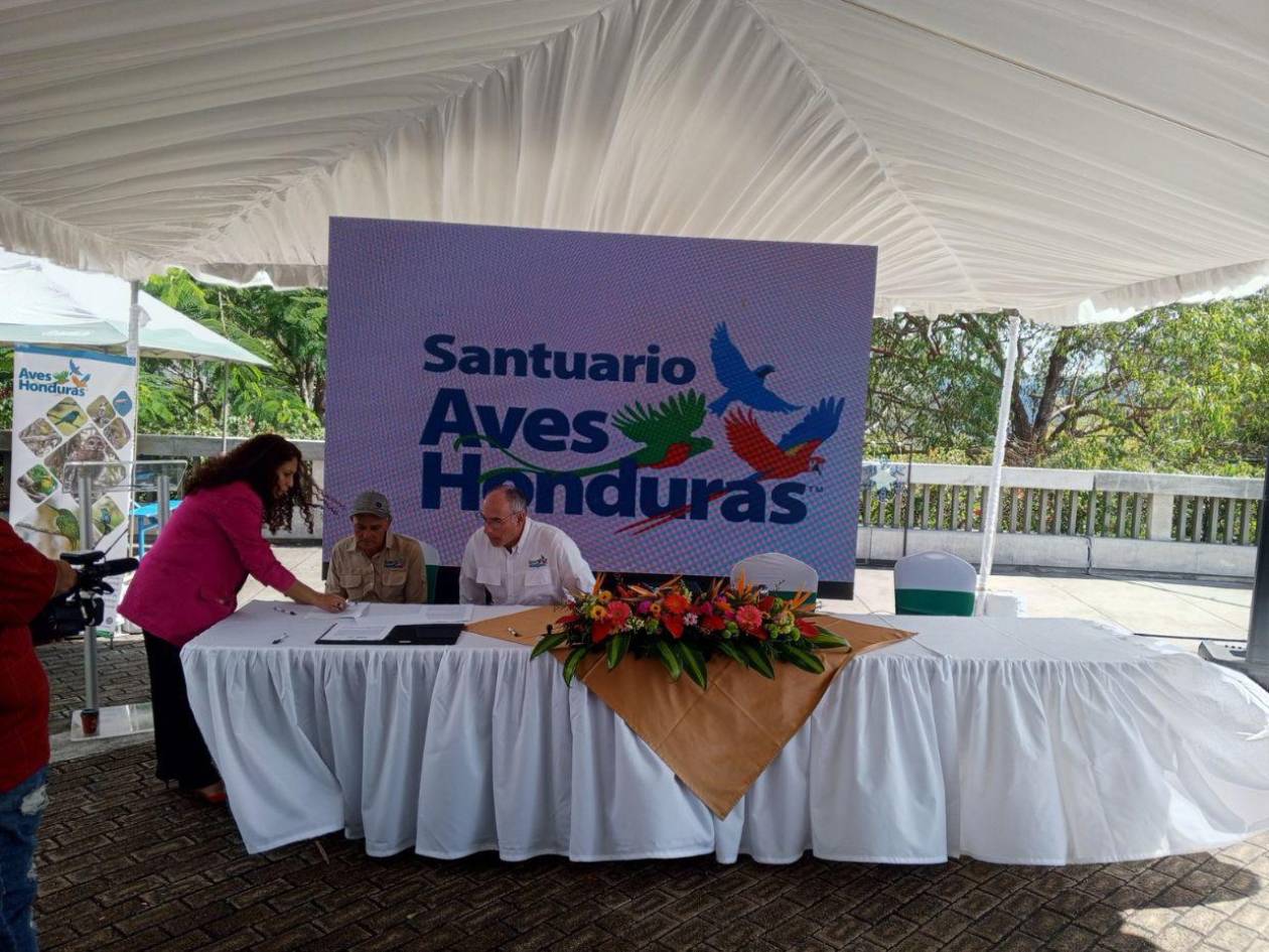 Expanden refugios naturales para la conservación de aves en Honduras