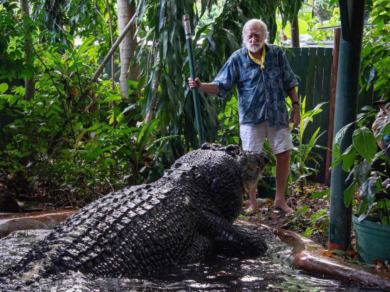 Muere el cocodrilo más grande del mundo en Australia