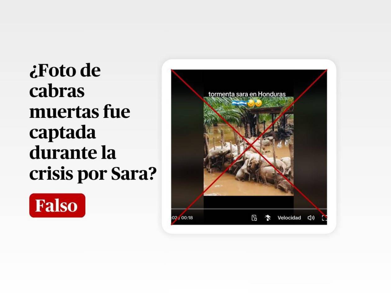 La foto de la cabras muertas no tiene relación con la crisis por Sara