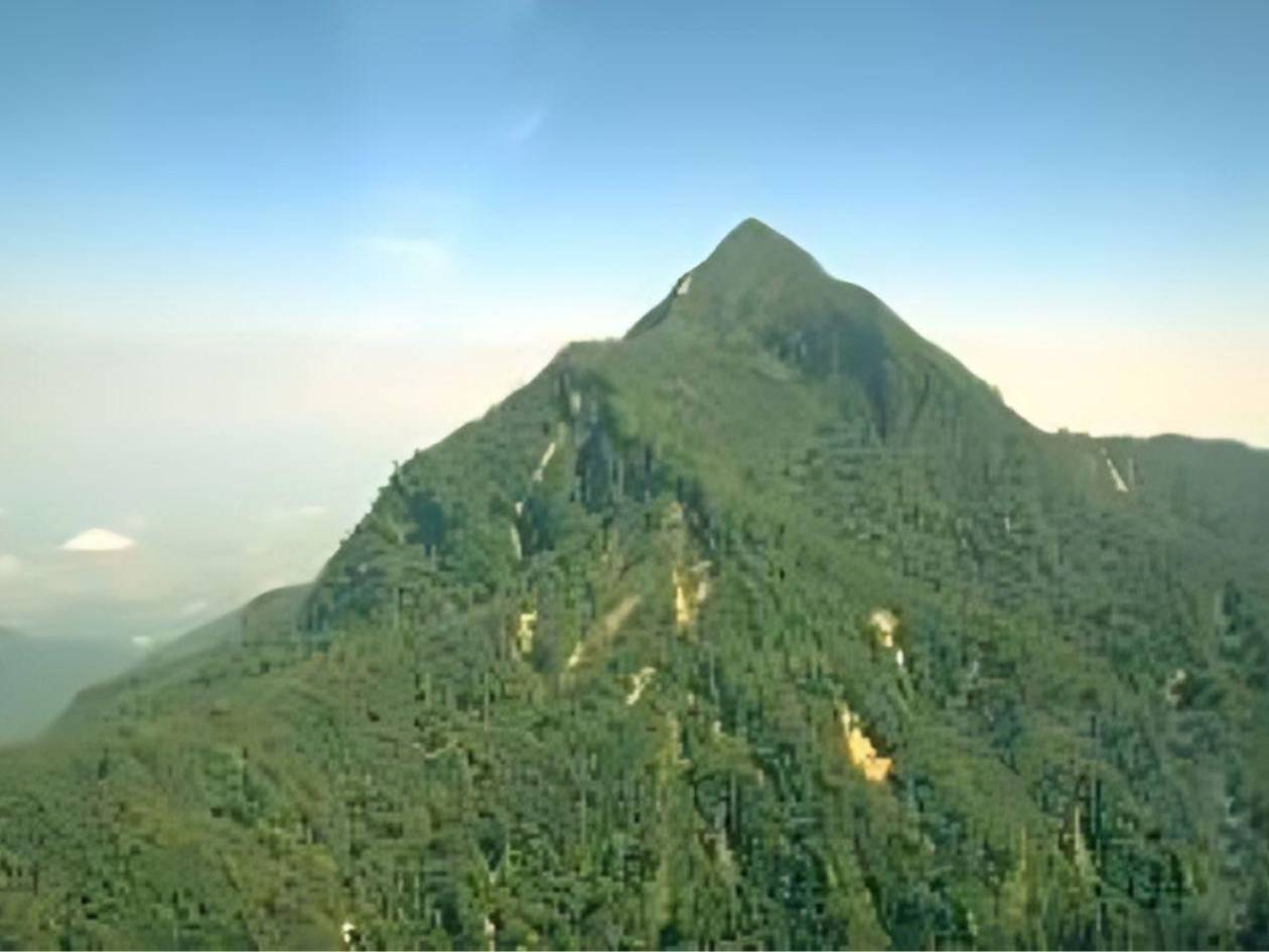 ¿Por qué la alcaldía de La Ceiba rechaza los límites legales del Parque Pico Bonito?