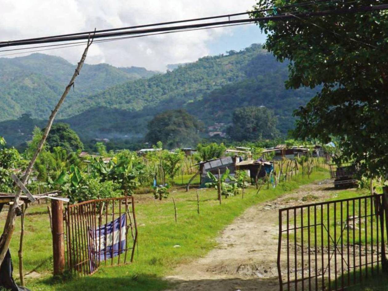 Hasta por la mitad de lo que cuestan rematan fincas en Honduras por invasiones