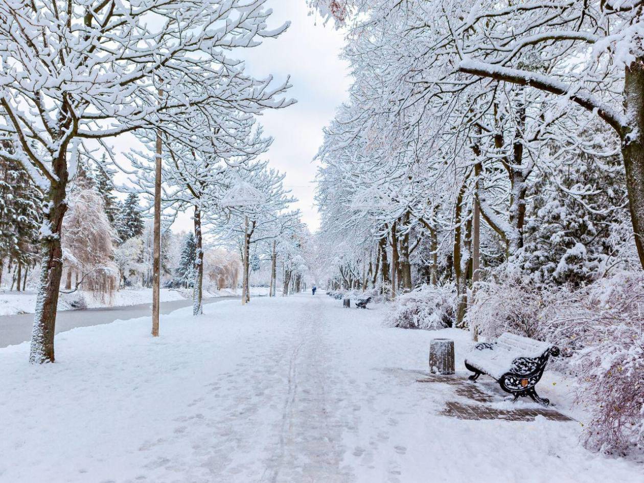 Clima en Thanksgiving 2024 en Estados Unidos, ¿en qué ciudades nevará?