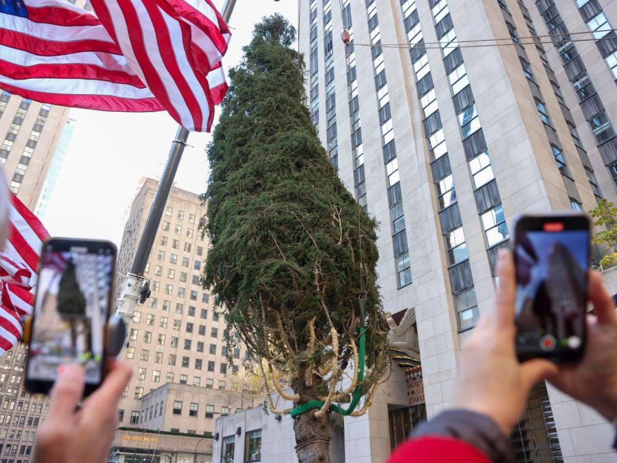 Árbol de Navidad del Rockefeller Center llega a Nueva York para inaugurar temporada