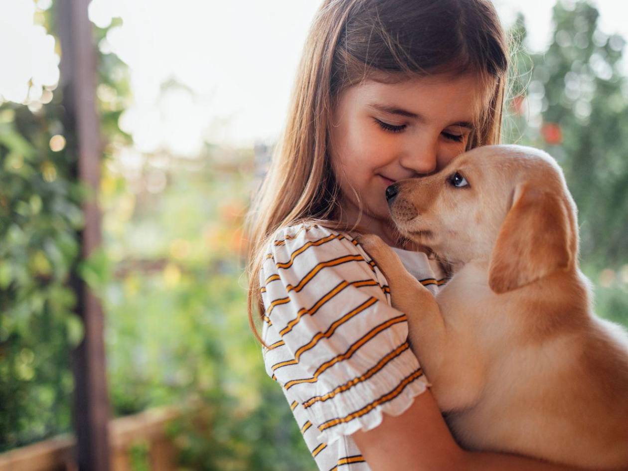 Mascotas para niños: beneficios y compromisos