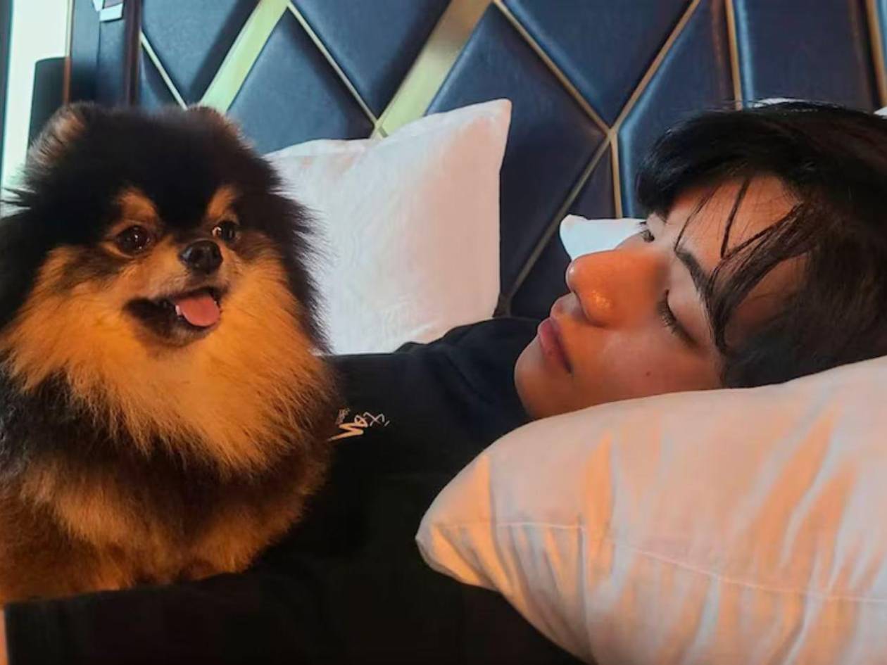 Murió Yeontan, mascota de Taehyung de BTS, esta fue la causa de muerte