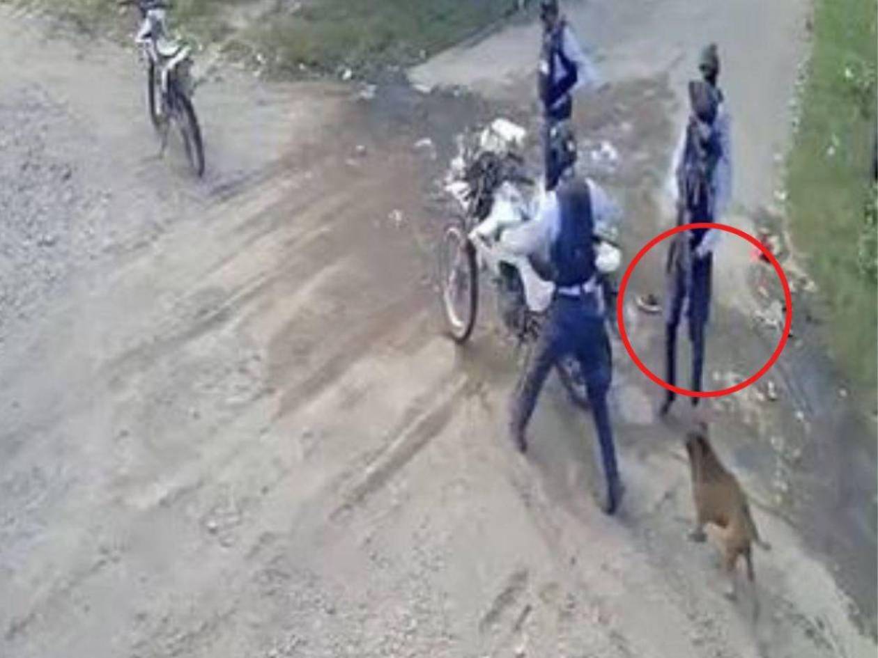 En libertad se defenderá policía que mató a un perrito en Choluteca