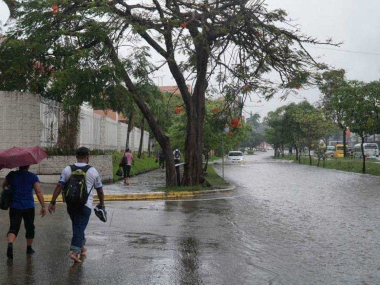 Clima: Lluvias continuarán hasta el domingo y otra cuña afectará desde el lunes