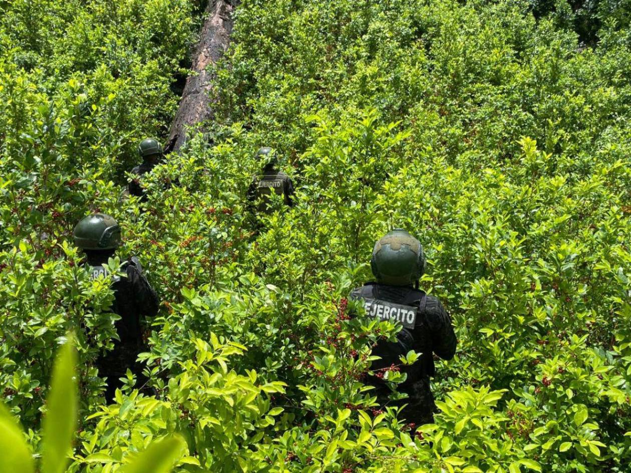 Narcos producen pasta de coca en Honduras y la hacen cocaína en México