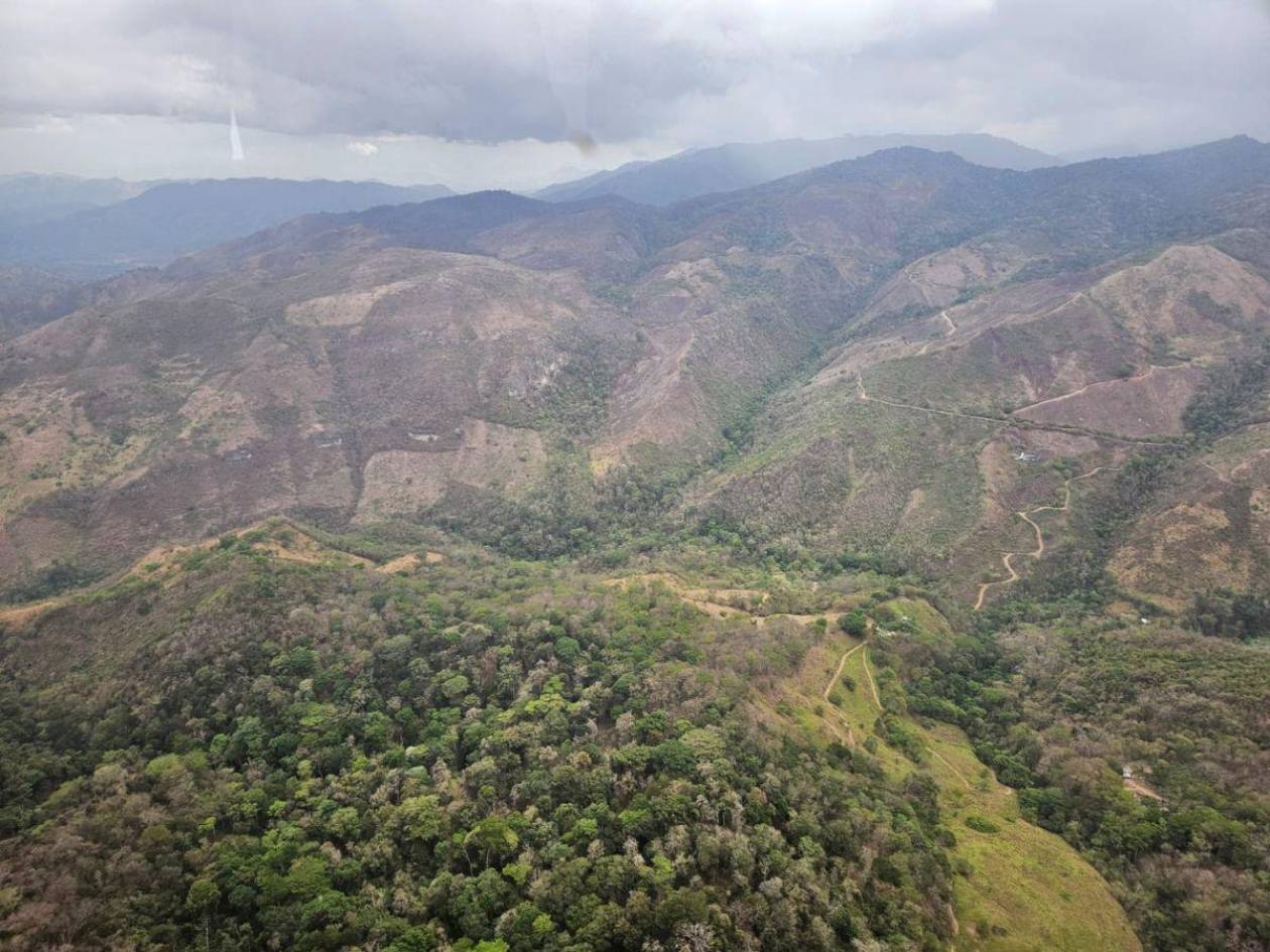 Gobierno acuerda con ganaderos suspender desalojos en la Biósfera del Río Plátano