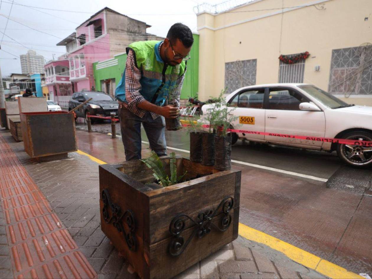 Alcaldía renueva con maceteras la avenida Cervantes en Tegucigalpa