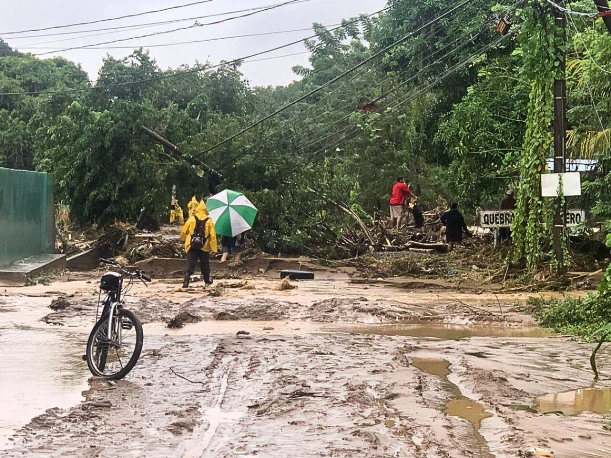 ¿Tormenta Sara afectó tu zona? Reporta aquí los daños en tu comunidad