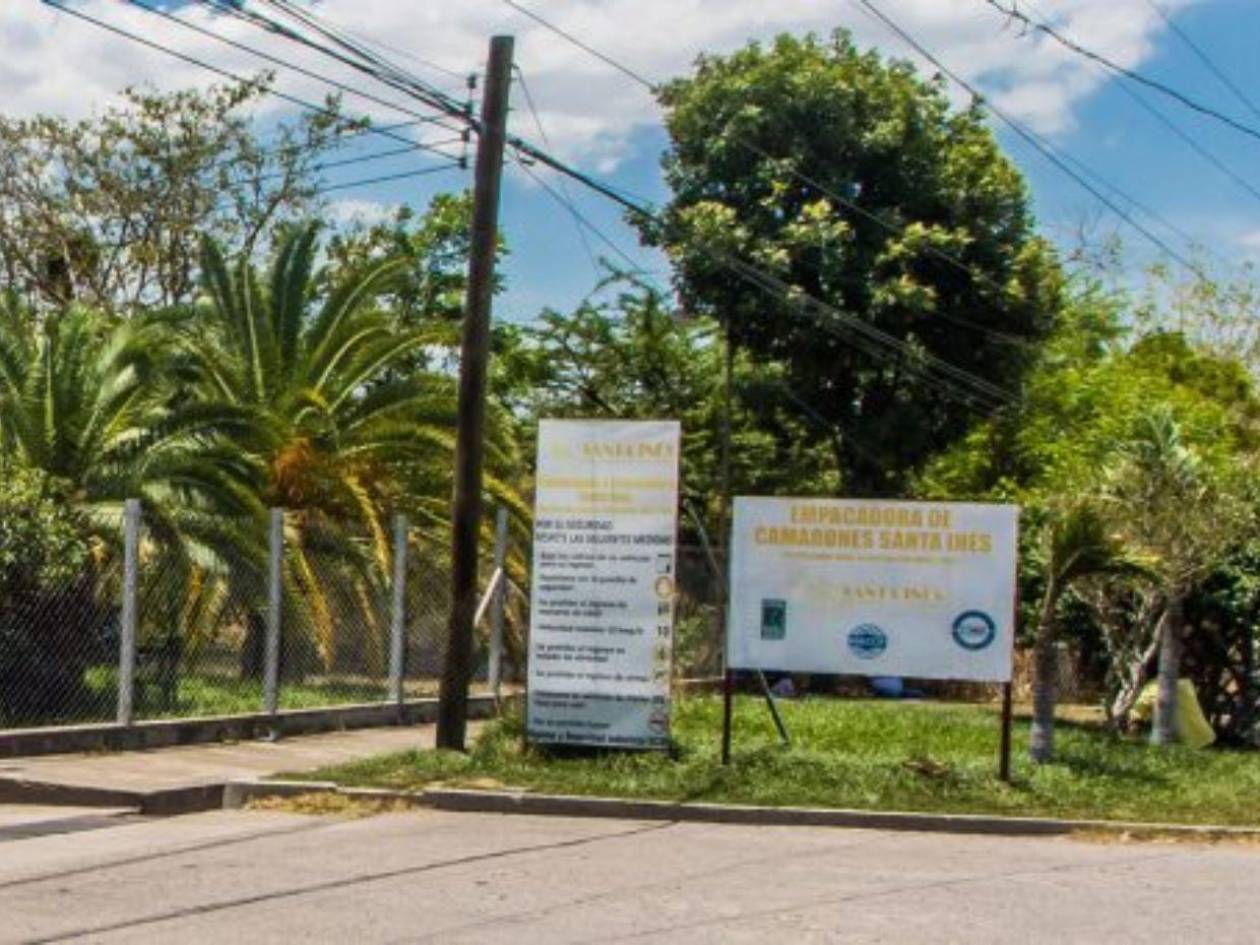 Camaronera cierra operaciones tras 32 años en Honduras por caída de exportación a Taiwán