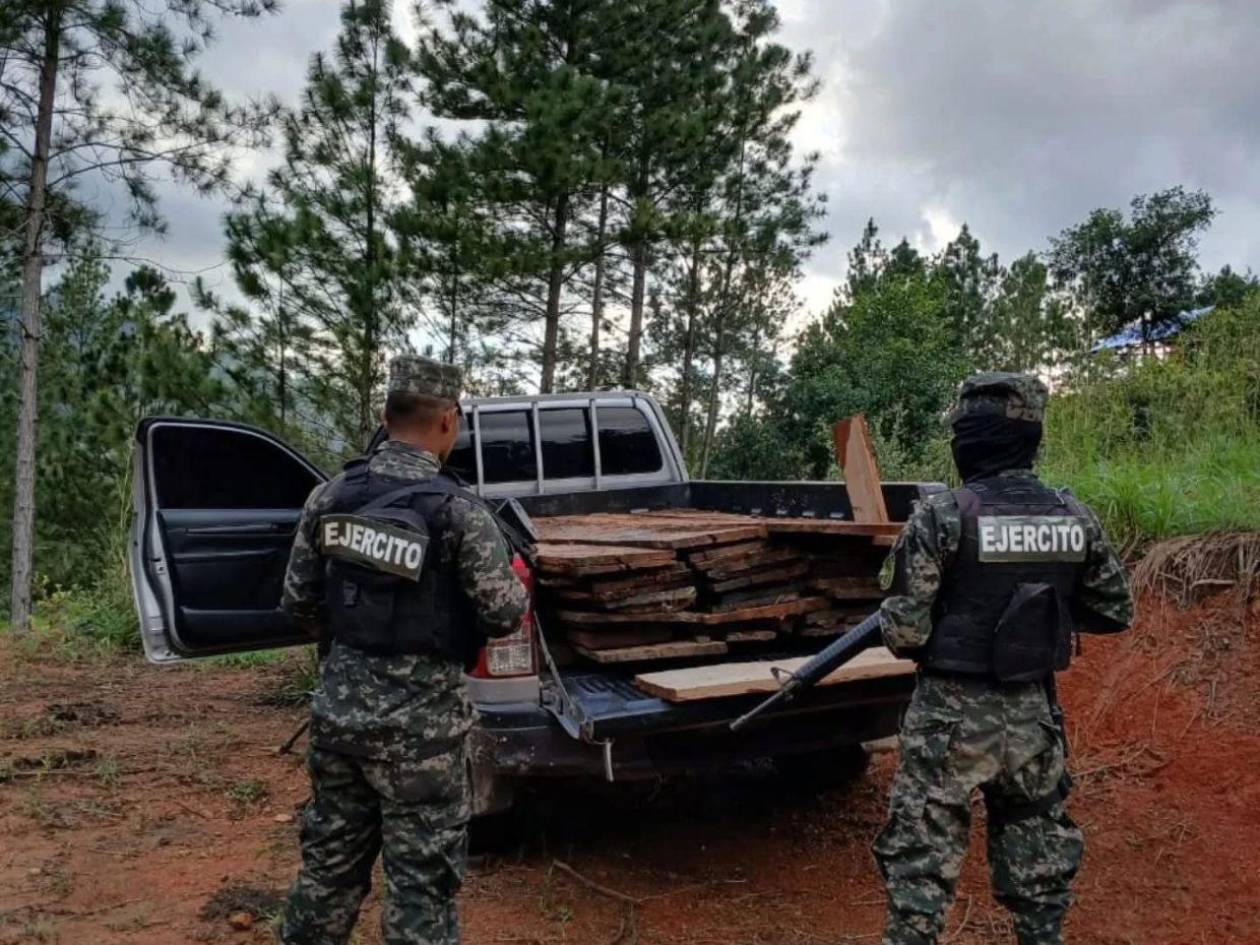 Decomisan madera aserrada en el noreste del departamento de Olancho